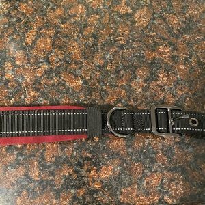Dog collar size XL Brand New never used